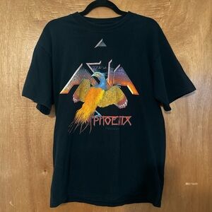Rare & authentic Phoenix Asia 2008 World Tour concert size m, single stitch